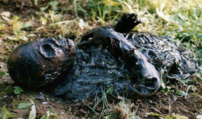 Photo of MARRAKECH: un corps brûlé retrouvé dans une villa abandonnée