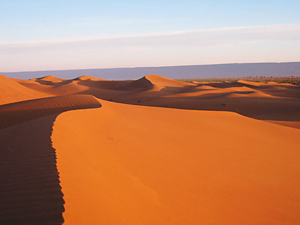 Photo of Marathon des sables: Un millier d’aventuriers dans l’envoûtant désert marocain