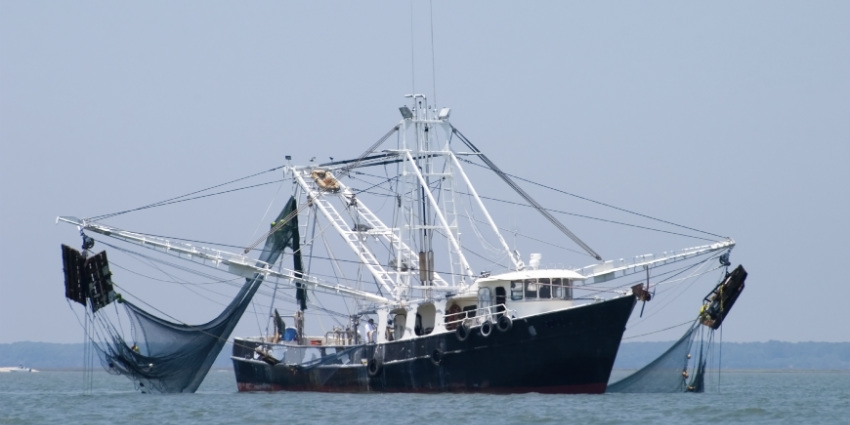 Photo of Hausse des débarquements des produits de la pêche côtière et artisanale !