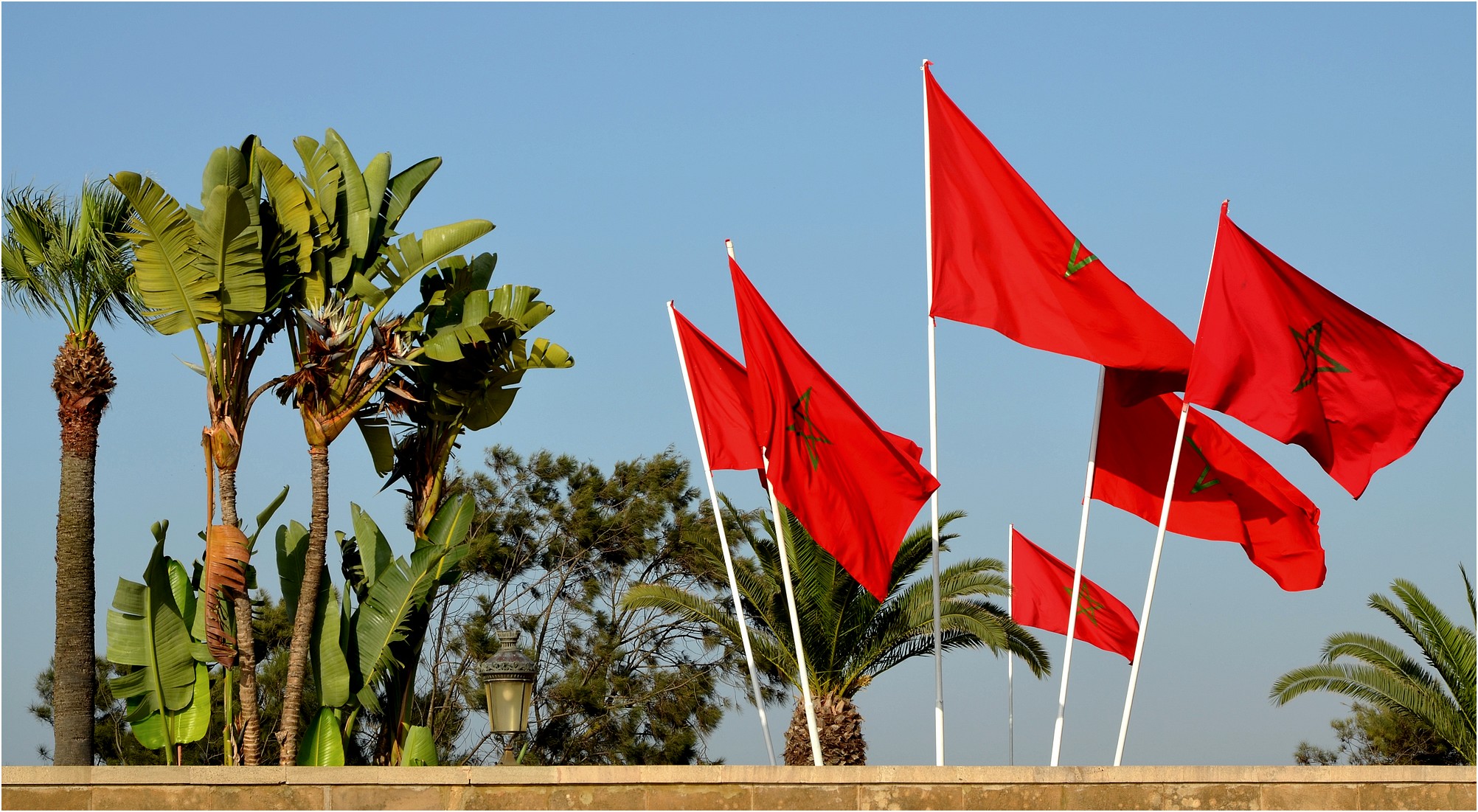 Photo of Le Maroc reconnu à l’international pour son expertise en matière de migration