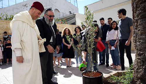 Photo of Symbole de tolérance et de fraternité : Des jeunes musulmans ont planté trois oliviers dans une mosquée, une synagogue et une cathédrale
