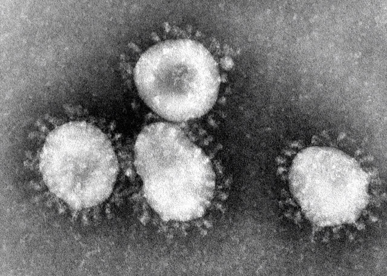 Photo of Coronavirus: « Aucun cas de maladie n’a été enregistré au Maroc » (ministère)