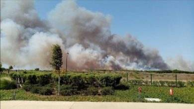 Photo of Tanger. 36 Hectares ravagés