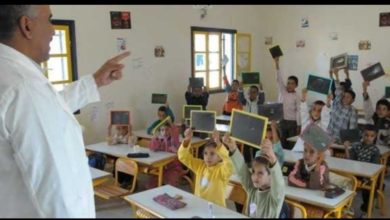 Photo of Enseignement. PV de sortie…allégé