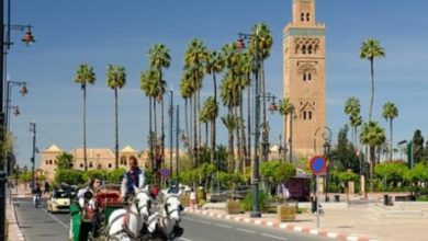 Photo of « TRIPADVISOR »: Marrakech dans le top 25