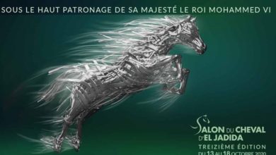 Photo of SPORT ÉQUESTRE: ANNULATION DU SALON DU CHEVAL D’EL JADIDA !