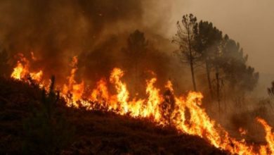 Photo of Un autre incendie de forêt dans la province d’Al Haouz !