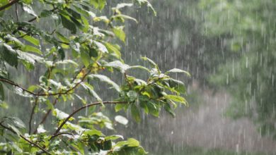 Photo of Alerte Météo: Temps exécrable, ce jeudi, dans plusieurs provinces du Maroc !