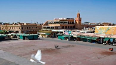 Photo of Économie: Marrakech, étouffe-t-elle faute de touristes ?