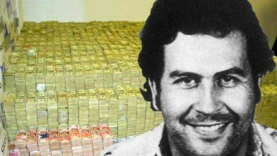 Photo of Pablo Escobar: 18 millions de dollars retrouvés dans une cachette !