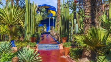 Photo of Tourisme à Marrakech : Le Jardin Majorelle rouvre de nouveau !