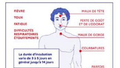 Photo of Quels sont les symptômes du coronavirus ?!