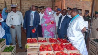 Photo of Crise de Guerguerat: Le Maroc approvisionne la Mauritanie par voie maritime !