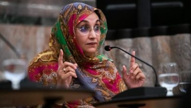 Photo of La traîtresse Aminatou Haidar, empêchée de prendre l’avion au départ de Laâyoune !