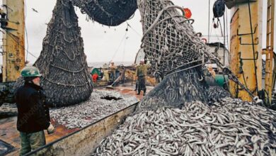 Photo of LA RUSSIE, LE POISSON DU SAHARA ET LE DOUBLE LANGAGE POLITIQUE !