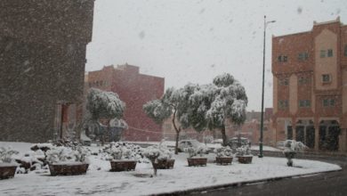 Photo of Les autorités de Zagora se mobilisent pour combattre la vague de froid à cette région !