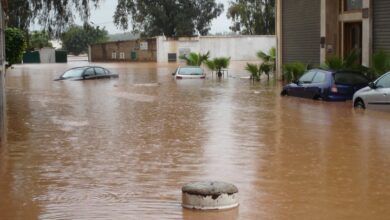 Photo of Casablanca-intempéries : le Fonds de Solidarité contre les Événements Catastrophiques se mobilise !