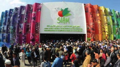 Photo of Le Salon International de l’Agriculture de Meknès (SIAM) annulé pour la deuxième fois consécutive !