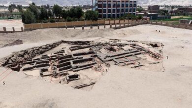 Photo of Egypte : Découverte de « la plus vieille » brasserie au monde !