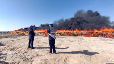 Photo of Drogues : Plus de 20 tonnes de Chira (résine de cannabis) incinérées à Dakhla !