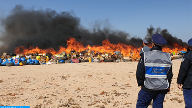 Photo of Laâyoune : Destruction d’une grande quantité de drogue et de produits de contrebande !