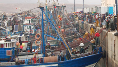 Photo of Pêche Maritime : Sidi Ifni contribue à hauteur de 2,5% au chiffre d’affaires des ports du Royaume !