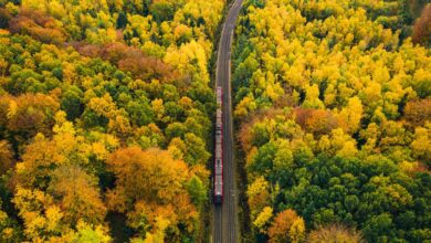 Photo of ONU : La Nature comme « cadre statistique » dans la prospérité économique des pays !