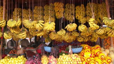 Photo of Ramadan : La stabilité des prix des denrées alimentaires est assurée