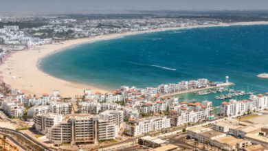 Photo of La Consule Honoraire de la Suisse à Agadir s’informe des atouts de la région Souss Massa !