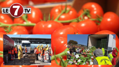 Photo of L’ESPAGNE DEVIENT FOLLE : « LA GUERRE DE LA TOMATE » PROVOQUE L’HYSTÉRIE DE MADRID !