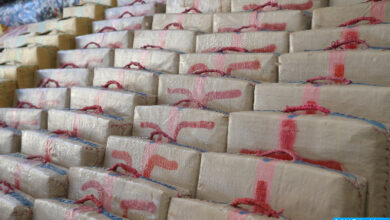 Photo of Drogue : Saisie de 1.216 kg de Cannabis à Al Hoceima, un individu interpellé !