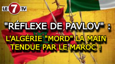 Photo of « RÉFLEXE DE PAVLOV » : L’ALGÉRIE « MORD » LA MAIN TENDUE PAR LE MAROC !