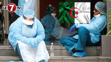 Photo of Lourd Tribut : Décès d’au moins 191 médecins en Algérie, à cause du Covid-19 !