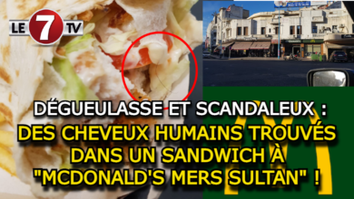 Photo of DÉGUEULASSE ET SCANDALEUX : DES CHEVEUX HUMAINS TROUVÉS DANS UN SANDWICH À « MCDONALD’S MERS SULTAN » !