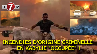 Photo of ACTES PRÉMÉDITÉS ?!…INCENDIES D’ORIGINE CRIMINELLE EN KABYLIE « OCCUPÉE » !