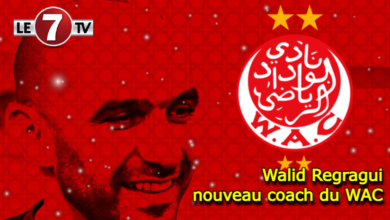 Photo of Officiel : Walid Regragui, nouveau coach du WAC !