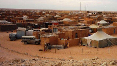 Photo of Un député italien s’indigne contre le détournement de l’aide humanitaire destinée aux populations séquestrées dans les camps de Tindouf :