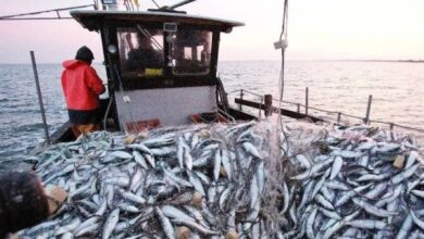 Photo of Le Maroc et l’UE réagissent à la décision de la justice européenne