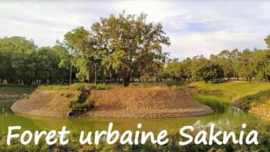 Photo of Lancement d’une opération de nettoyage à la forêt urbaine de Saknia à kénitra :