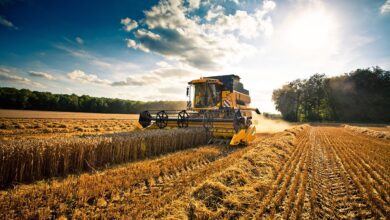 Photo of Un prêt de plus de 114 M€ vient soutenir l’agriculture marocaine :