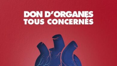 Photo of Don d’organes : Une campagne de sensibilisation lancée par l’association Reins dans les réseaux sociaux :