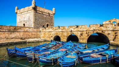 Photo of Port d’Essaouira : Une immense baisse des débarquements de la pêche côtière et artisanale :