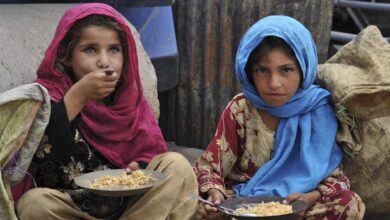 Photo of L’ONU tire la sonnette sur la crise alimentaire en Afghanistan, « l’une des pires au monde » :