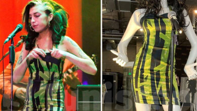 Photo of La dernière robe portée par Amy Winehouse à un concert vendue à 243.200 dollars :