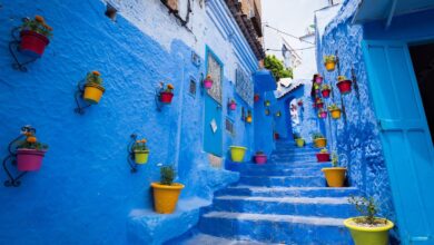 Photo of Chefchaouen: La transition vers l’écotourisme au centre de la 5ème Université “DéfisMed” :