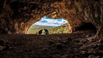 Photo of Grottes de Bizmoune: « Une découverte majeure pour le Maroc et pour l’humanité » :