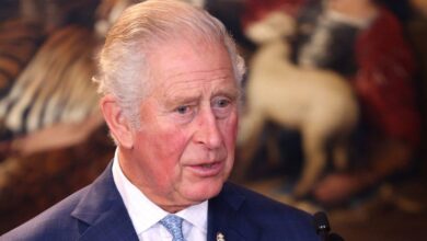 Photo of Prince Charles :« le secteur privé détient la clé pour sauver la planète» :