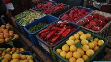 Photo of Province de Khénifra: Les marchés sont bien approvisionnés et les prix restent stables