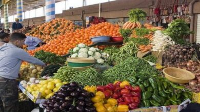 Photo of Voici les prix des légumes ce mercredi dans les villes du Royaume