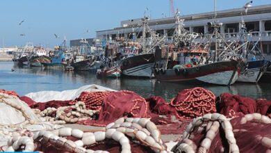 Photo of Pêche maritime: Mohamed Ali Oukacha élu président de la FPM